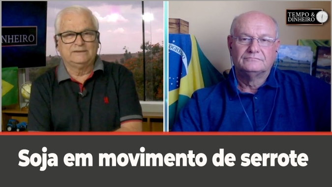 Soja em movimento de serrote
