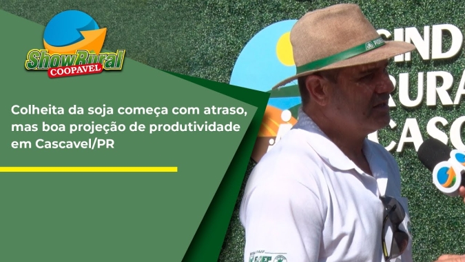 Colheita da soja começa com atraso, mas boa projeção de produtividade em Cascavel/PR