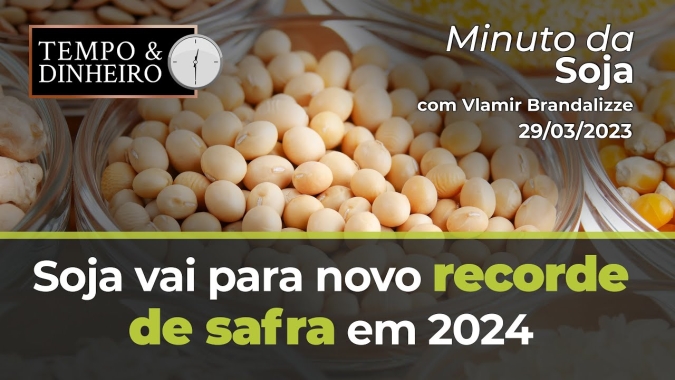 Soja vai para novo recorde de safra em 2024