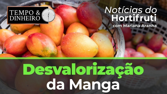 Manga palmer desvalorizada, confira no notícias do Hortifrúti.