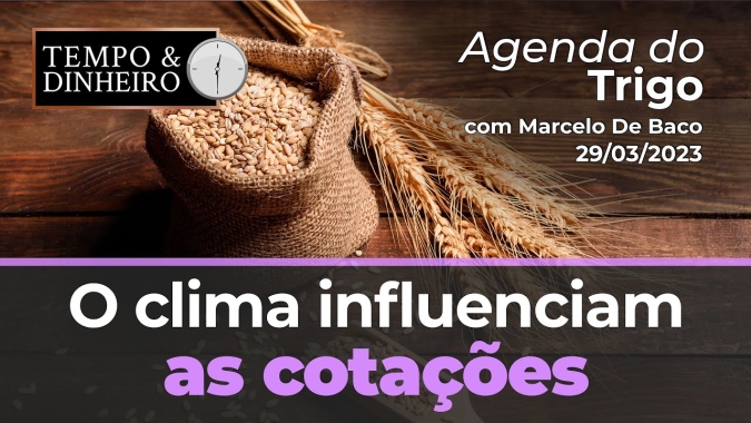 A exposição dos vendidos, a regulamentação russa e o clima influenciam as cotações