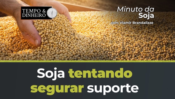 Soja tentando segurar suporte no 13 no novembro