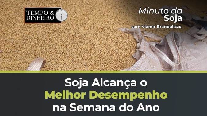 Soja na melhor semana do ano