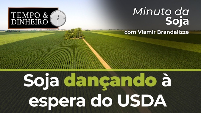 Soja dançando à espera do USDA