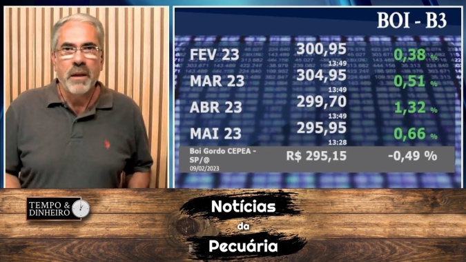 Boi gordo tem preços firmes , sobe em 6 praças e na  B3 março bate R$305