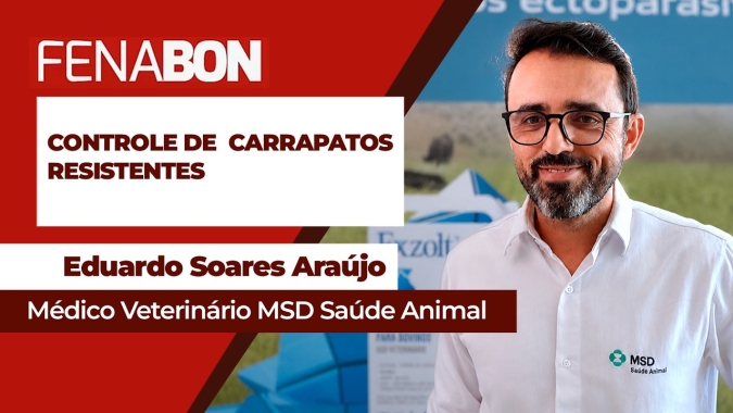 Rotação de moléculas e manejo das pastagens como estratégias para o controle de carrapatos