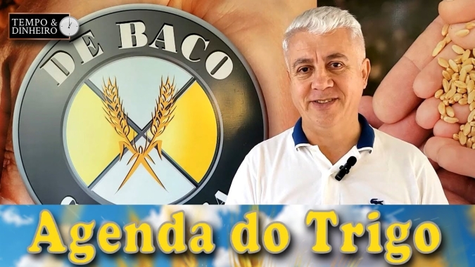 Qualquer notícia tem potencial altista, isso denuncia a fragilidade da oferta e demanda