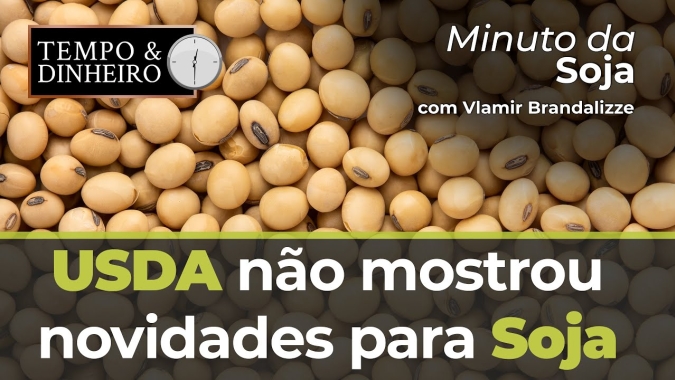 USDA não mostrou novidades para Soja