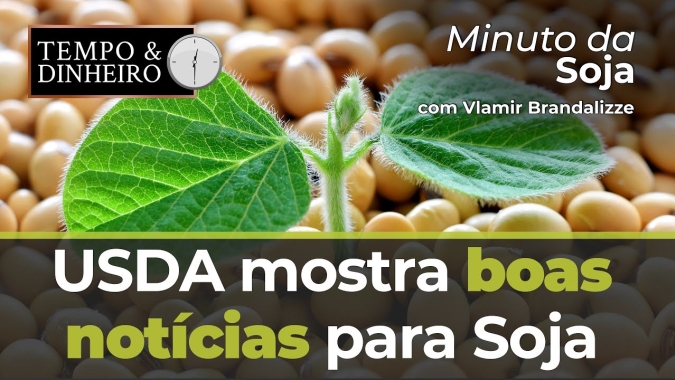 USDA mostra boas notícias para Soja