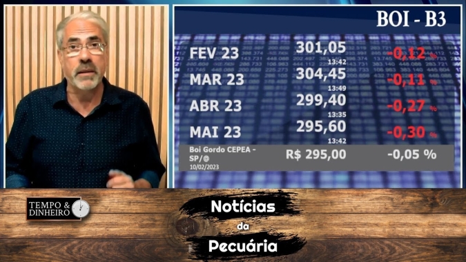 Boi gordo começa a dar sinais de recuperação de preços