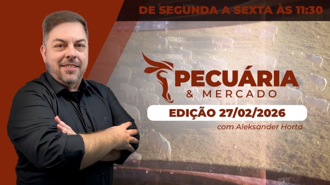 Movimento de alta do boi desacelera, mas tendência segue positiva para os preços da arroba