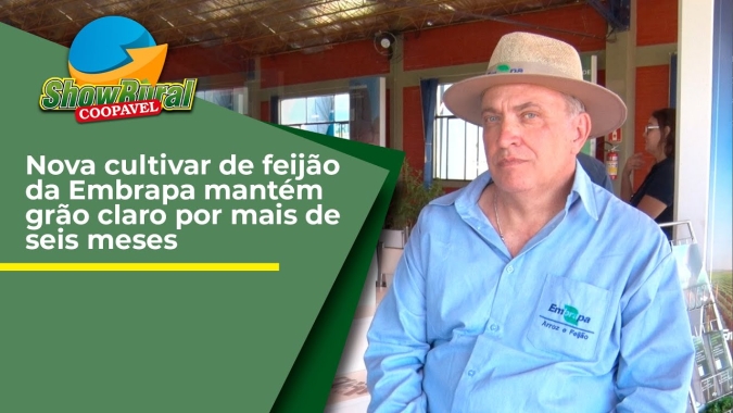 Nova cultivar de feijão da Embrapa mantém grão claro por mais de seis meses