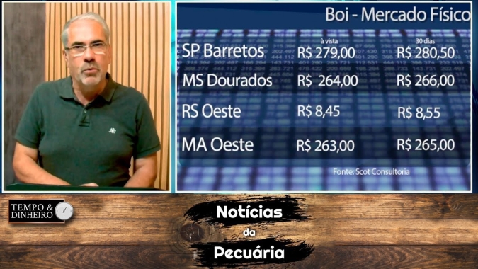 Boi gordo abaixo de R$300 na B3. Preços vão reagir ou  perder vigor?
