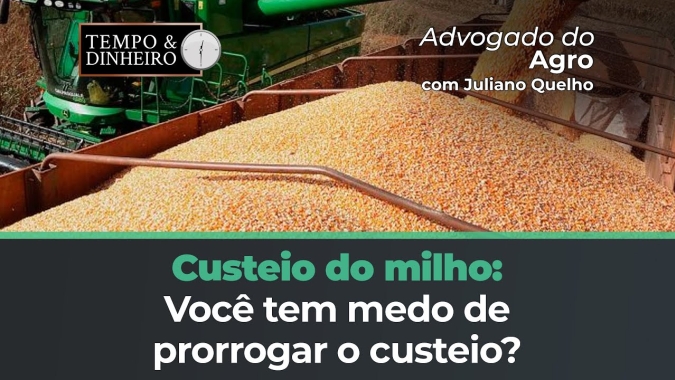 Custeio do milho: você tem medo de prorrogar o custeio? Advogado do Agro tem novidades de MG
