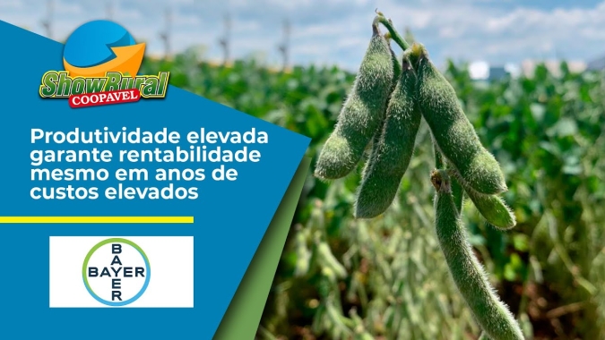 Produtividade elevada garante rentabilidade mesmo em anos de custos elevados