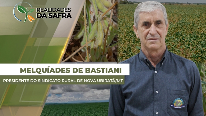 Lavouras de milho se desenvolvem bem em Nova Ubiratã/MT e produtores esperam margens positivas