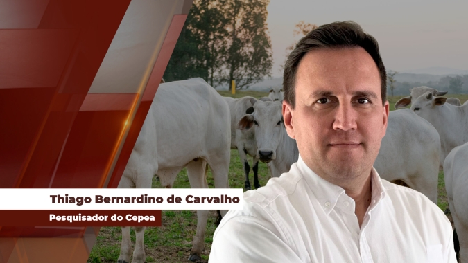 Escassez de oferta de animais segue sustentado o preço da @ e valores acima dos R$ 300,00 já são vistos em mais praças