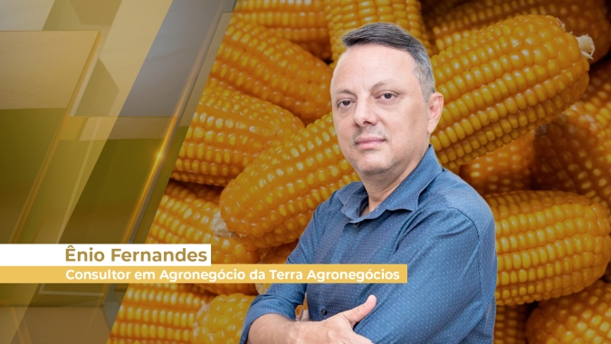 Demanda forte e produtor segurando vendas está sustentando altas nos preços do milho