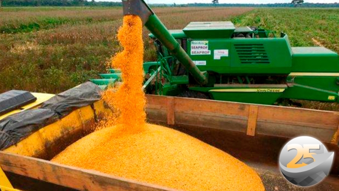 Faltou chuva em abril e Nova Xavantina/MT deve perder mais da metade da produtividade do milho