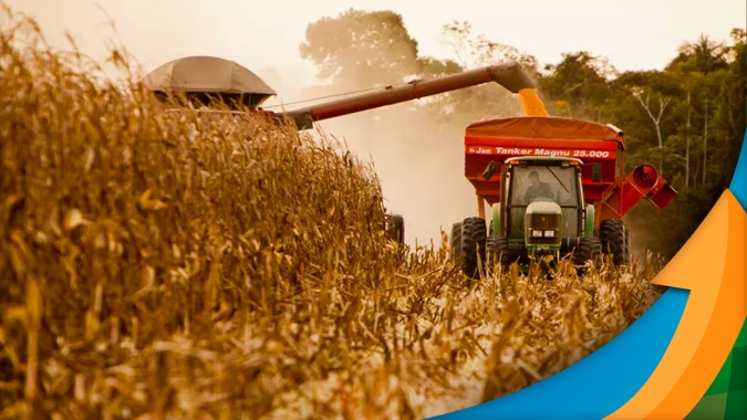 Colheita do milho safrinha avança em Cláudia (MT), com perspectiva que queda de 20 sacas por hectare na produtividade