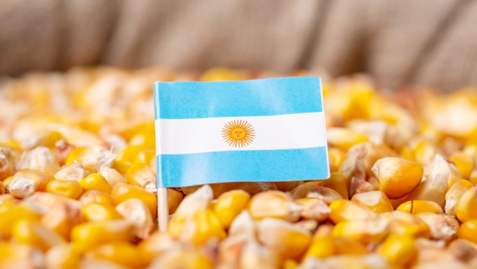 Bolsa eleva previsão de safra de milho argentina para recorde de 61 mi t