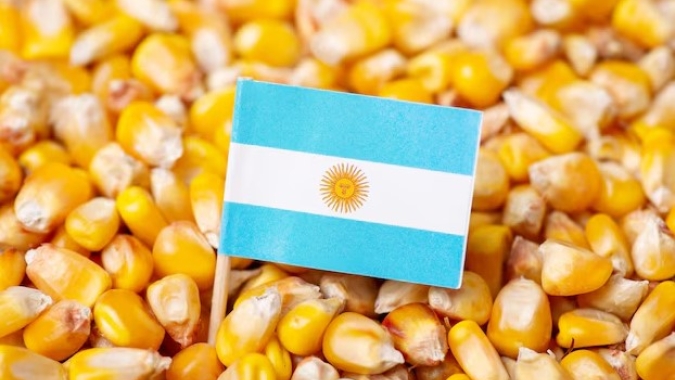 Verão quente da Argentina começa a prejudicar colheitas, diz bolsa de cereais de Buenos Aires
