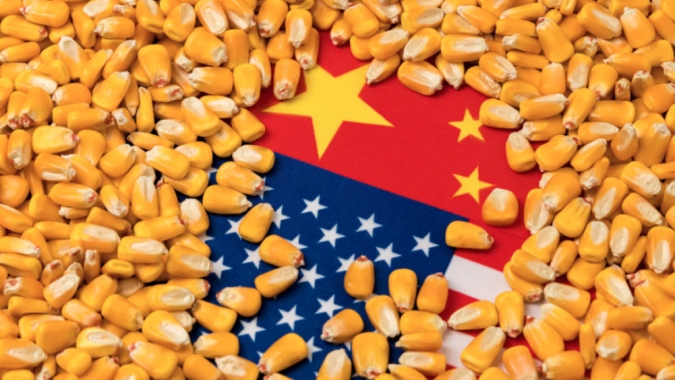 USDA traz nova venda de milho para a China e volume na semana passa de 400 mil t