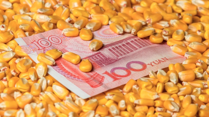 China compra mais de 1 mi de t de milho dos EUA nesta 5ª feira e busca garantir volume e preços