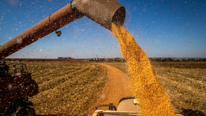Aprosoja MS indica colheita do milho em 91% no Mato Grosso do Sul
