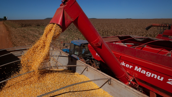 Colheita do milho avança rápido e salta de 47% para 61% em uma semana, indica Conab