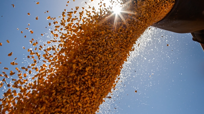 Colheita do milho avança no Paraná e Deral destaca problemas de produtividade em algumas regiões
