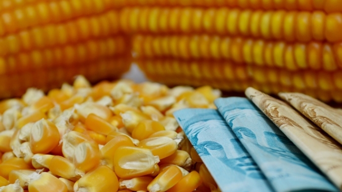 Imea indica leve recuo no custo de produção do milho 24/25, mas Ponto de Equilíbrio ainda superior ao de 23/24