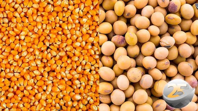 Comercialização da soja 2022/23 e da atual safrinha de milho estão atrasadas no Brasil