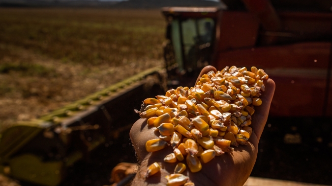 Reta final de 2022 pode trazer novas, e boas, oportunidades de venda para o milho brasileiro