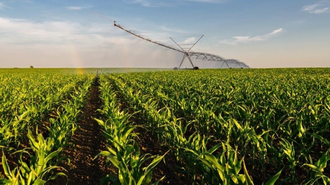 Irrigação pode ampliar produção, renda e segurança alimentar no Brasil, mas ainda esbarra em entraves regulatórios e de infraestrutura