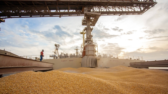 Comercialização de milho safrinha 2021 atinge 70,1% no Brasil, estima Safras