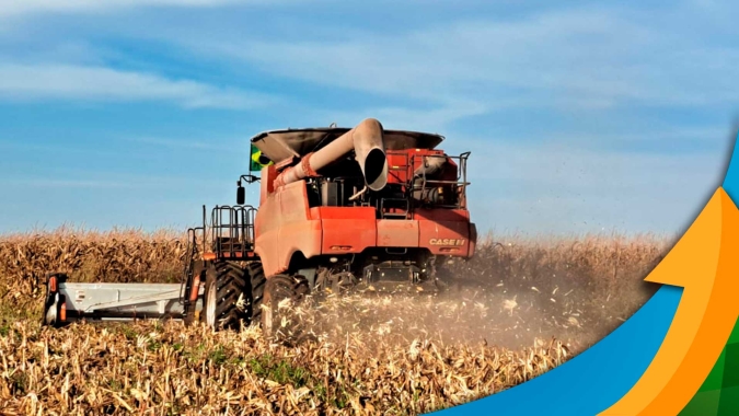 Colheita do milho safrinha Campos de Júlio (MT) chega a 15% das áreas, com produtores preocupados com prejuízos