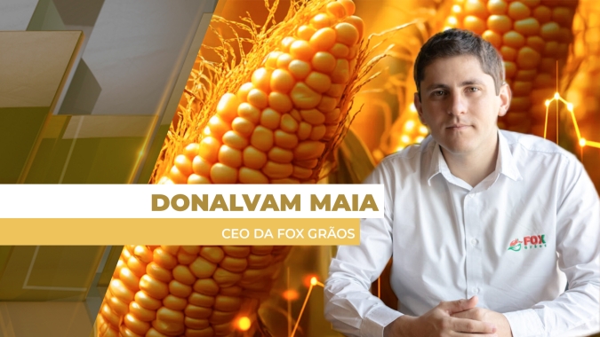 Colheita do milho traz pressão sazonal para os preços no mercado brasileiro