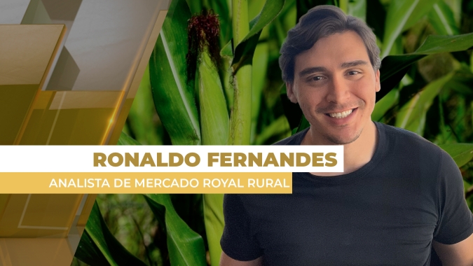Mercado do milho tem semana intensa de volatilidade com clima para safrinha ainda incerto e oferta restrita no Brasil