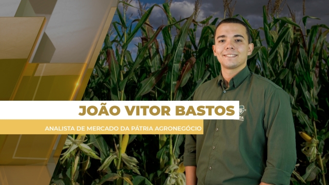 Preço do milho segue lateralizado no Brasil com cabo de guerra entre grande oferta e produtor segurando as vendas