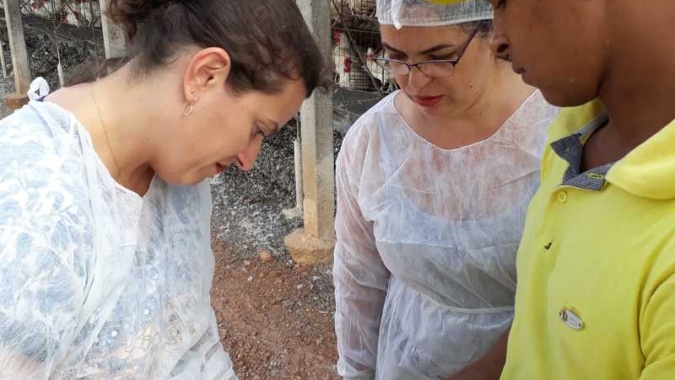 Instituto Mineiro de Agropecuária adota rotina especial durante alerta contra gripe aviária