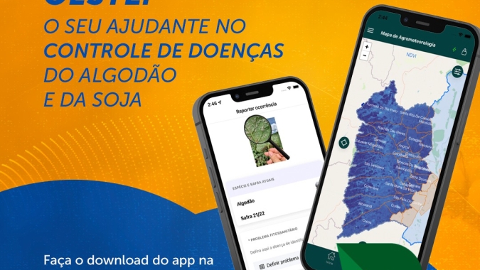 Produtores da Bahia contam com aplicativo que monitora pragas em tempo real