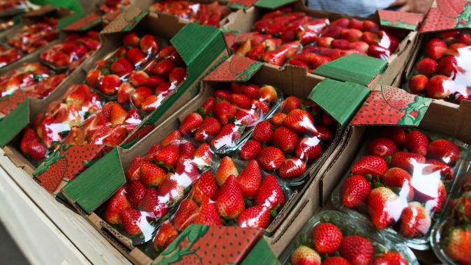 Morango do amor: Azul Cargo registra crescimento de mais de 9 vezes no transporte da fruta no primeiro trimestre