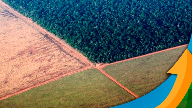 Produtores do Pará aprovam judicialização contra abusos da Moratória da Soja