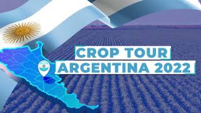 Recuperação da soja foi boa na Argentina depois das últimas chuvas, mas não se sustenta caso tempo continue quente e seco, diz representante comercial da Nidera