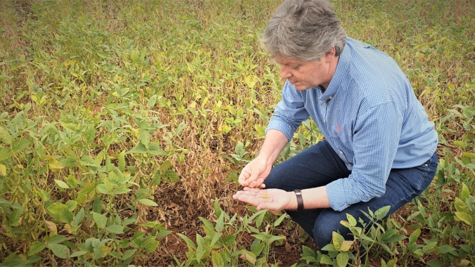 ABBINS fala da importância da derrubada do veto que trata sobre o registro de insumos agropecuários