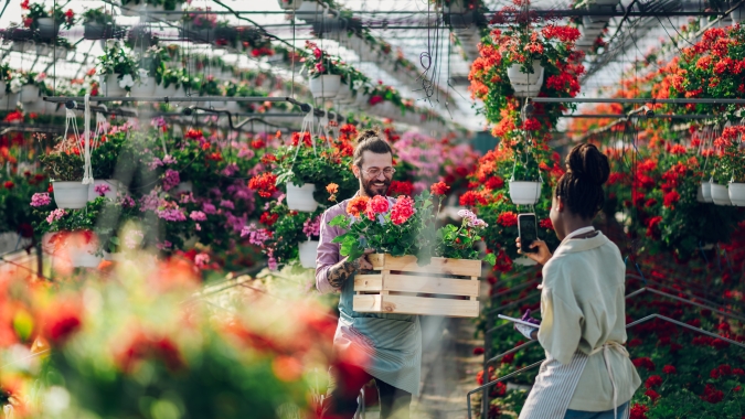 Mercado de flores dribla ano atípico e deve crescer até 8%, segundo a Ibraflor