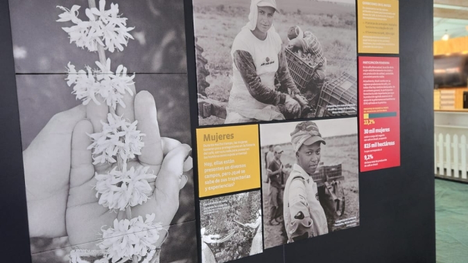 Museu do Café participa da Expo Chile Agrícola com nova exposição
