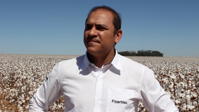 Mato Grosso colhe safra de algodão acima das expectativas com clima e tecnologias auxiliando