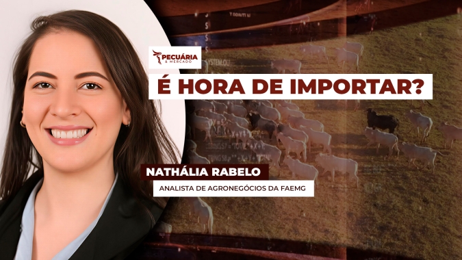 Primeiras importações de Tilápia do Vietnã preocupam setor produtivo em MG